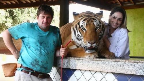 猛虎网在线视频,揭秘行业前沿动态，深度解析热门话题